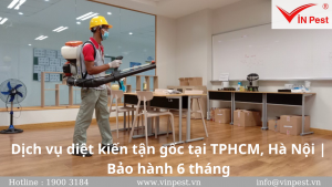 Dịch vụ diệt kiến tận gốc tại TPHCM, Hà Nội | Bảo hành 6 tháng