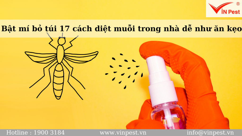 Bật mí bỏ túi 17 cách diệt muỗi trong nhà dễ như ăn kẹo