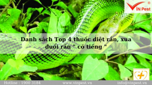 Danh sách Top 4 thuốc diệt rắn, xua đuổi rắn " có tiếng "