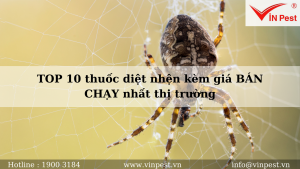 TOP 10 thuốc diệt nhện kèm giá BÁN CHẠY nhất thị trường
