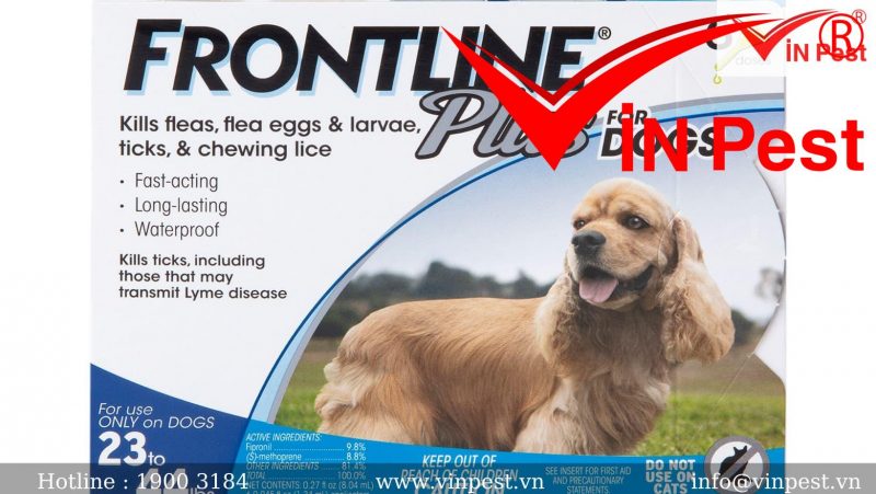 TOP 10 thuốc diệt ve chó ( rận chó ) an toàn và hiệu quả nhất
