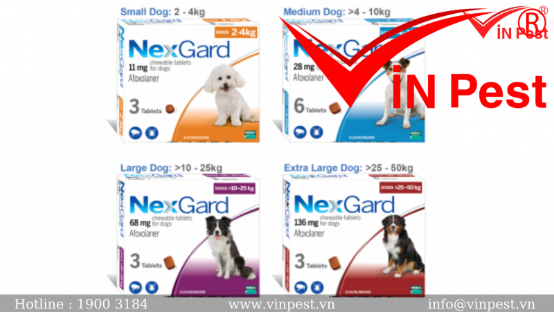 Sử dụng viên thuốc uống trị ve chó Nexgard