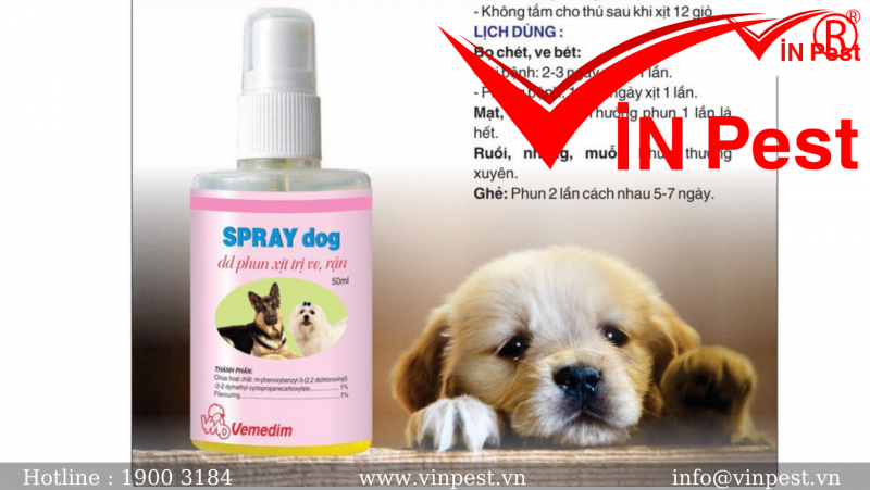 TOP 10 thuốc diệt ve chó ( rận chó ) an toàn và hiệu quả nhất