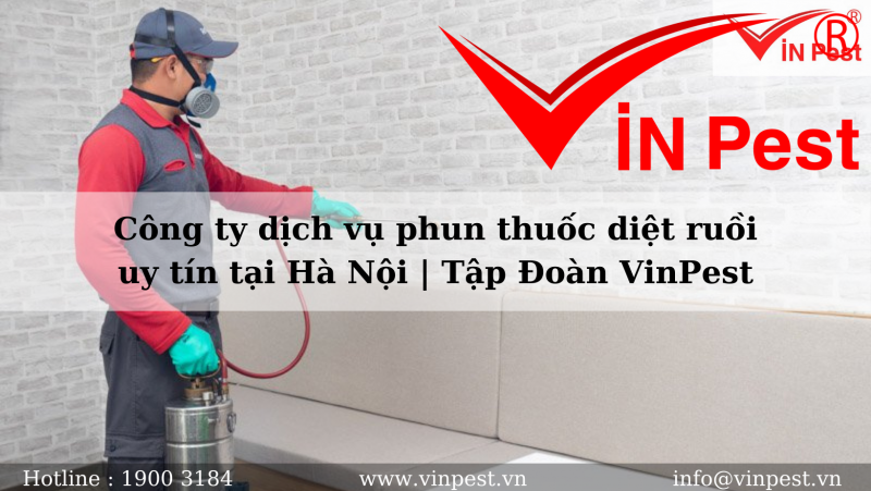 Công ty dịch vụ phun thuốc diệt ruồi uy tín tại Hà Nội | Tập Đoàn VinPest