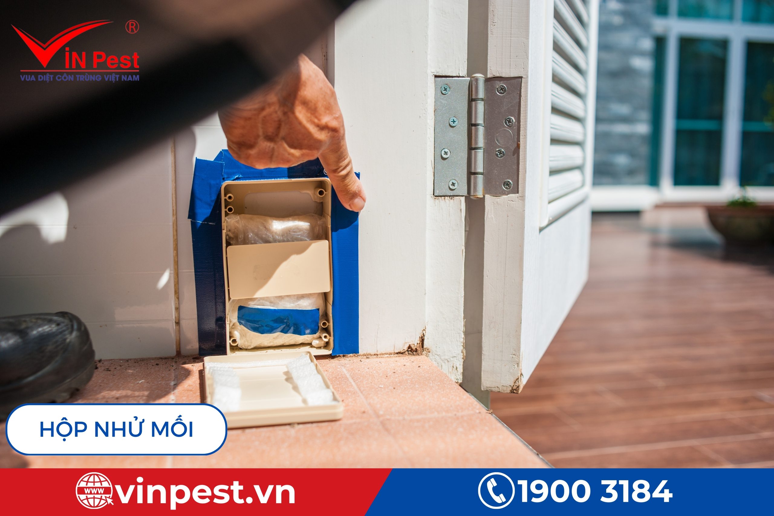 Hộp nhử mối có xử lý mối triệt để 100%