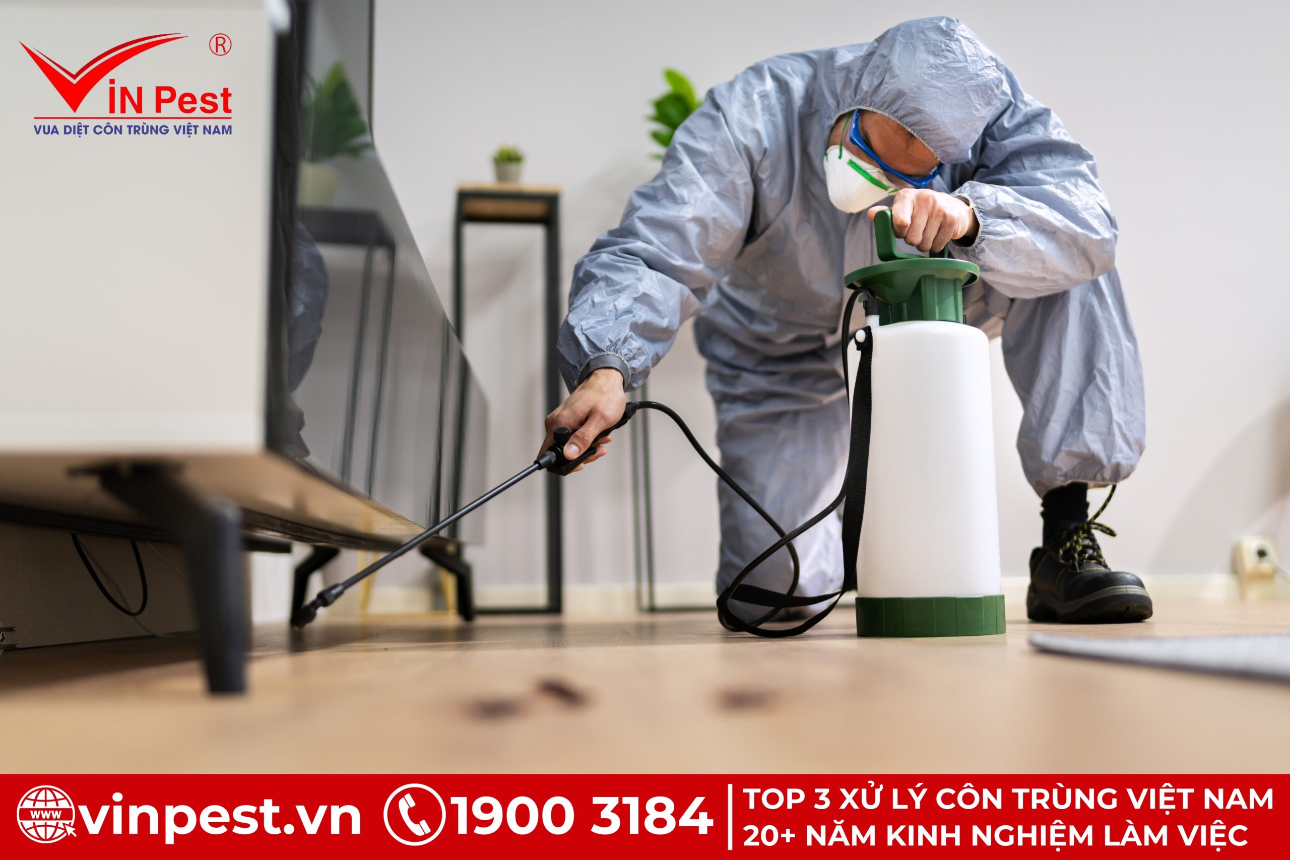 Cách để tiêu diệt và kiểm soát mối gỗ khô