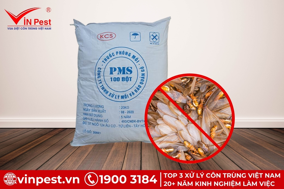 Các cách diệt mối trước khi xây nhà tận gốc
