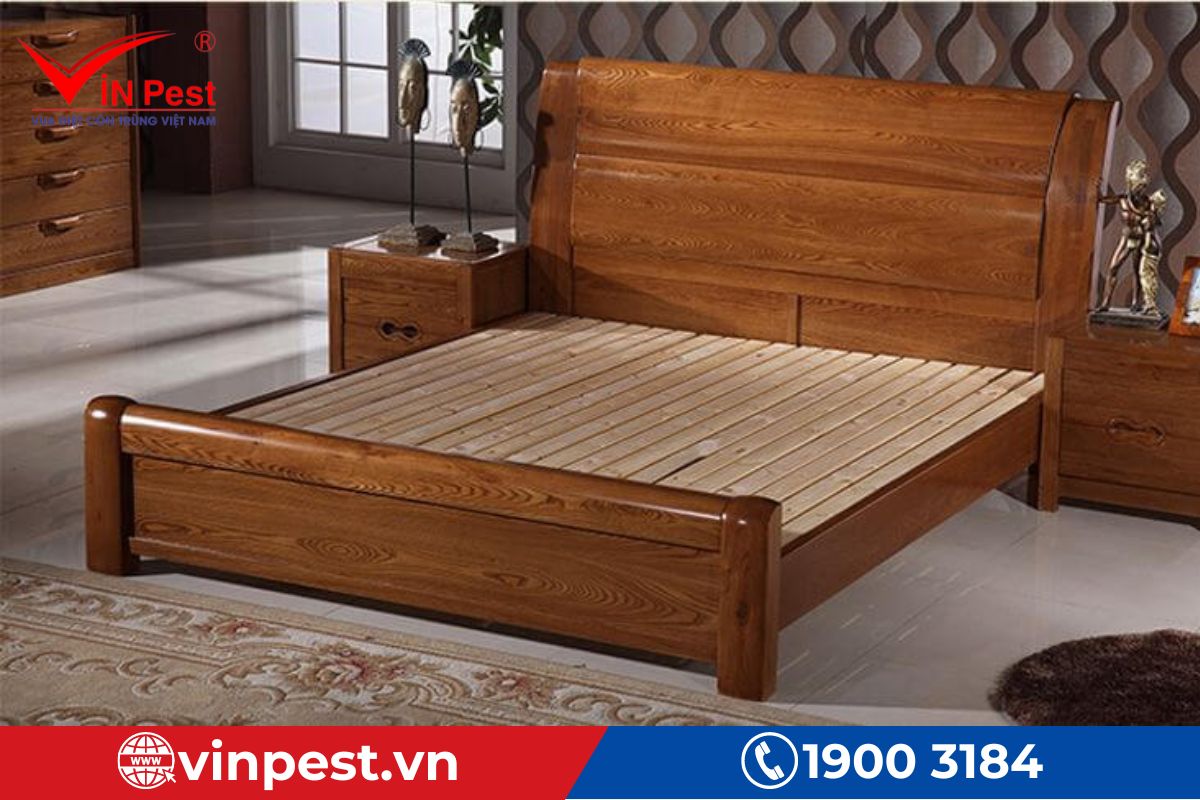 Nguyên nhân khiến giường ngủ bị mối xông