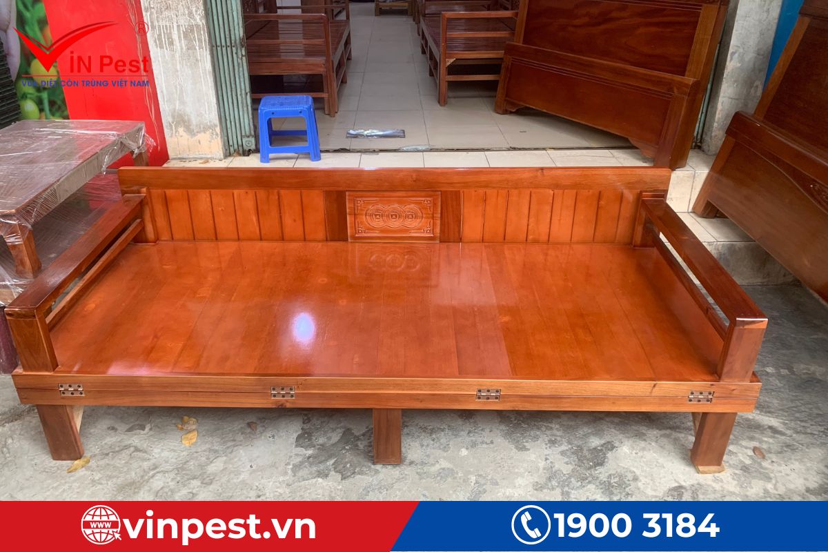 Cách xử lý mối xông giường ngủ đơn giản hiệu quả