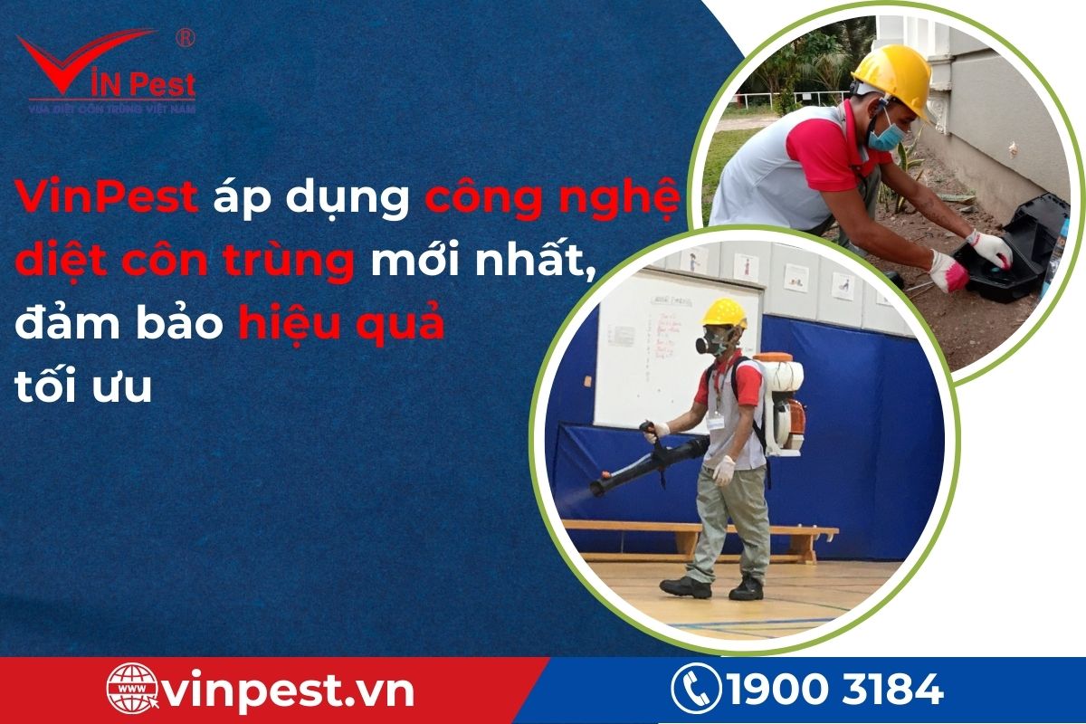 Tại sao nên chọn dịch vụ diệt côn trùng tại VinPest?