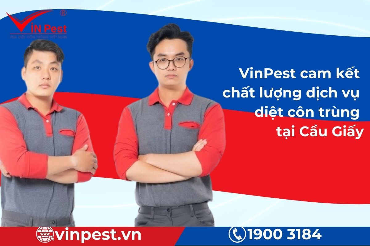 Cam kết chất dịch vụ diệt côn trùng tại Cầu Giấy của VinPest