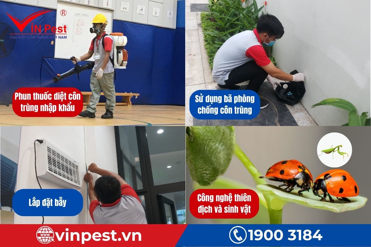 Công nghệ diệt côn trùng vượt trội của VinPest tại Đống Đa
