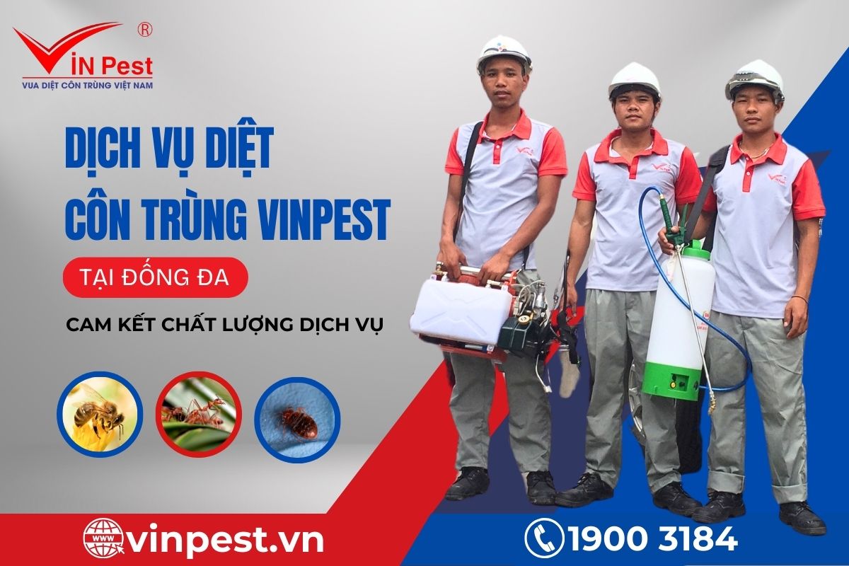 Cam kết chất lượng dịch vụ diệt côn trùng tại Đống Đa của VinPest