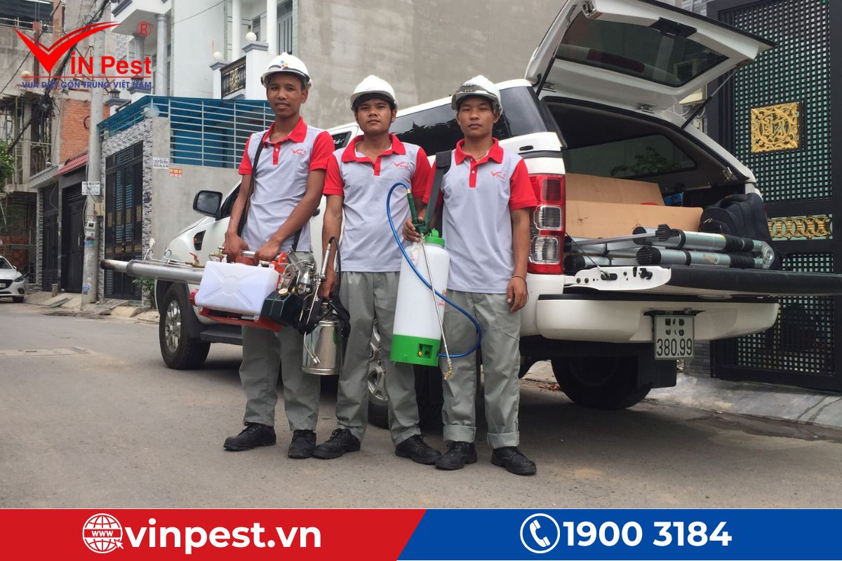 Tổng quan về dịch vụ diệt côn trùng tại VinPest