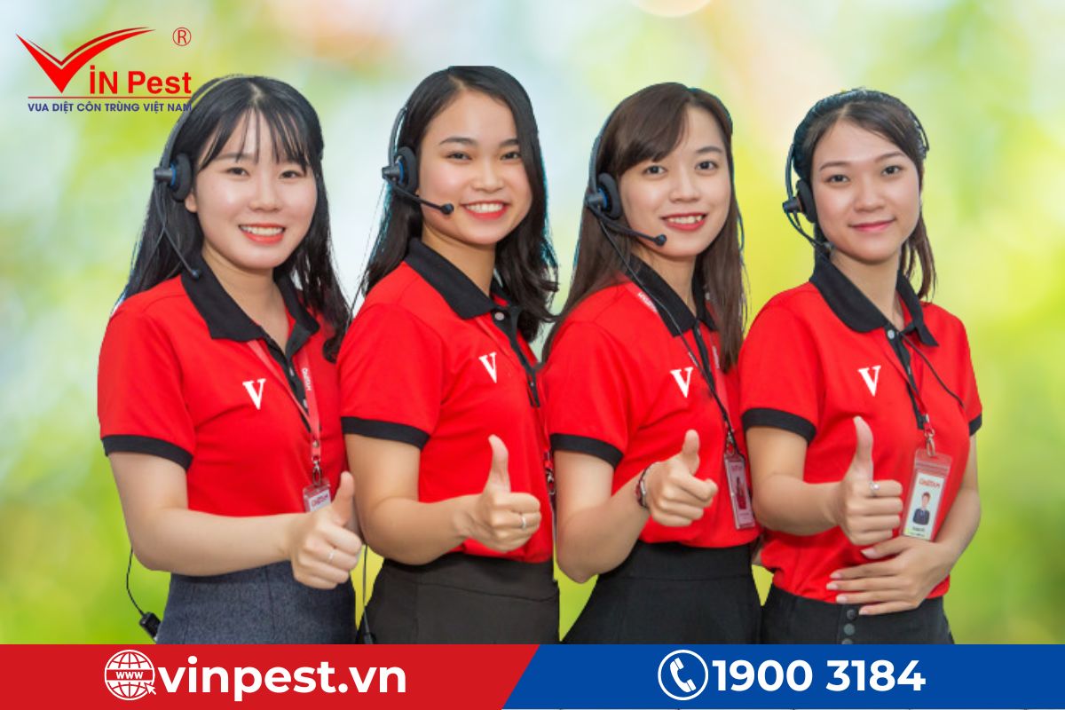 Cam kết dịch vụ diệt côn trùng tại VinPest