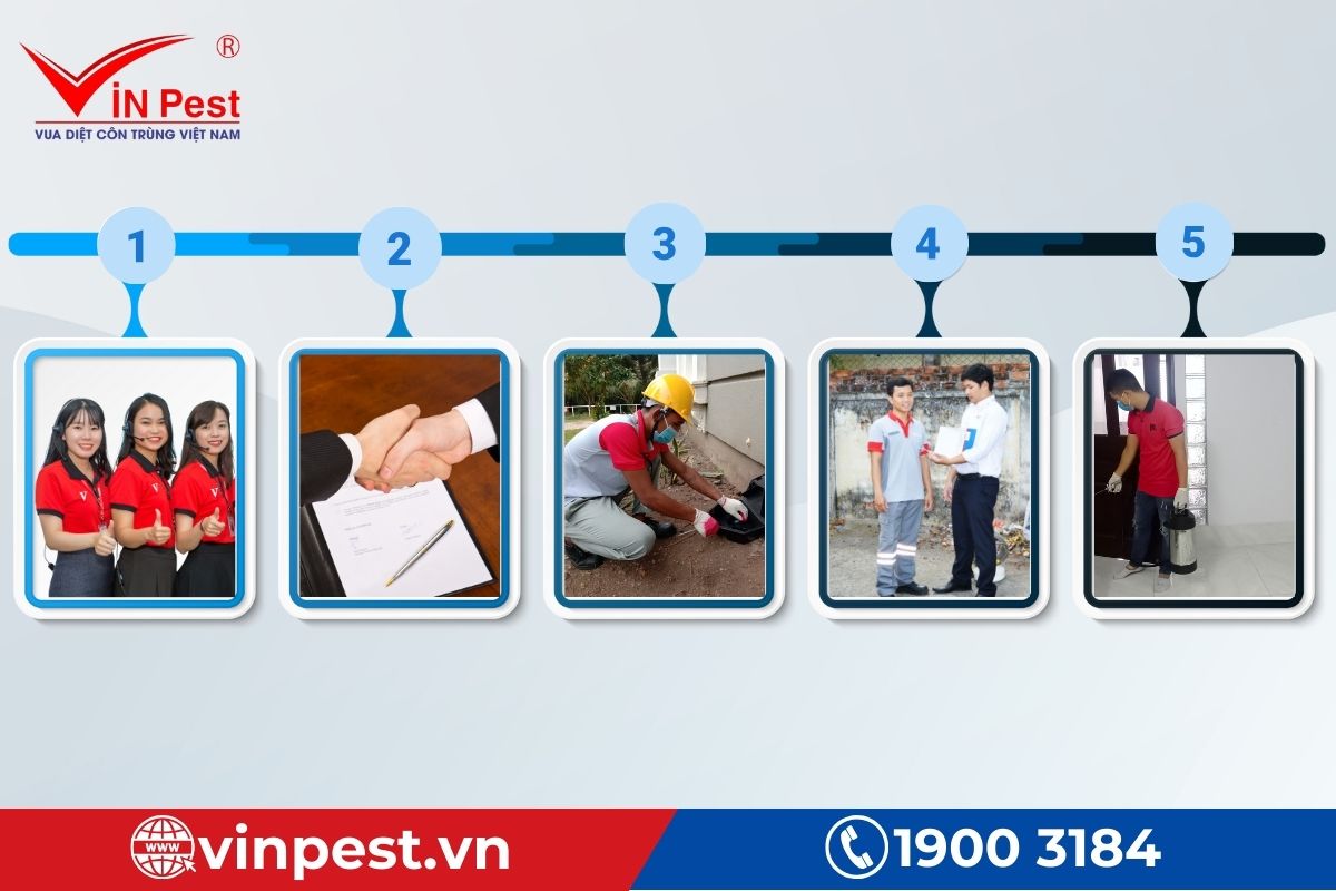 Cung cấp dịch vụ diệt côn trùng