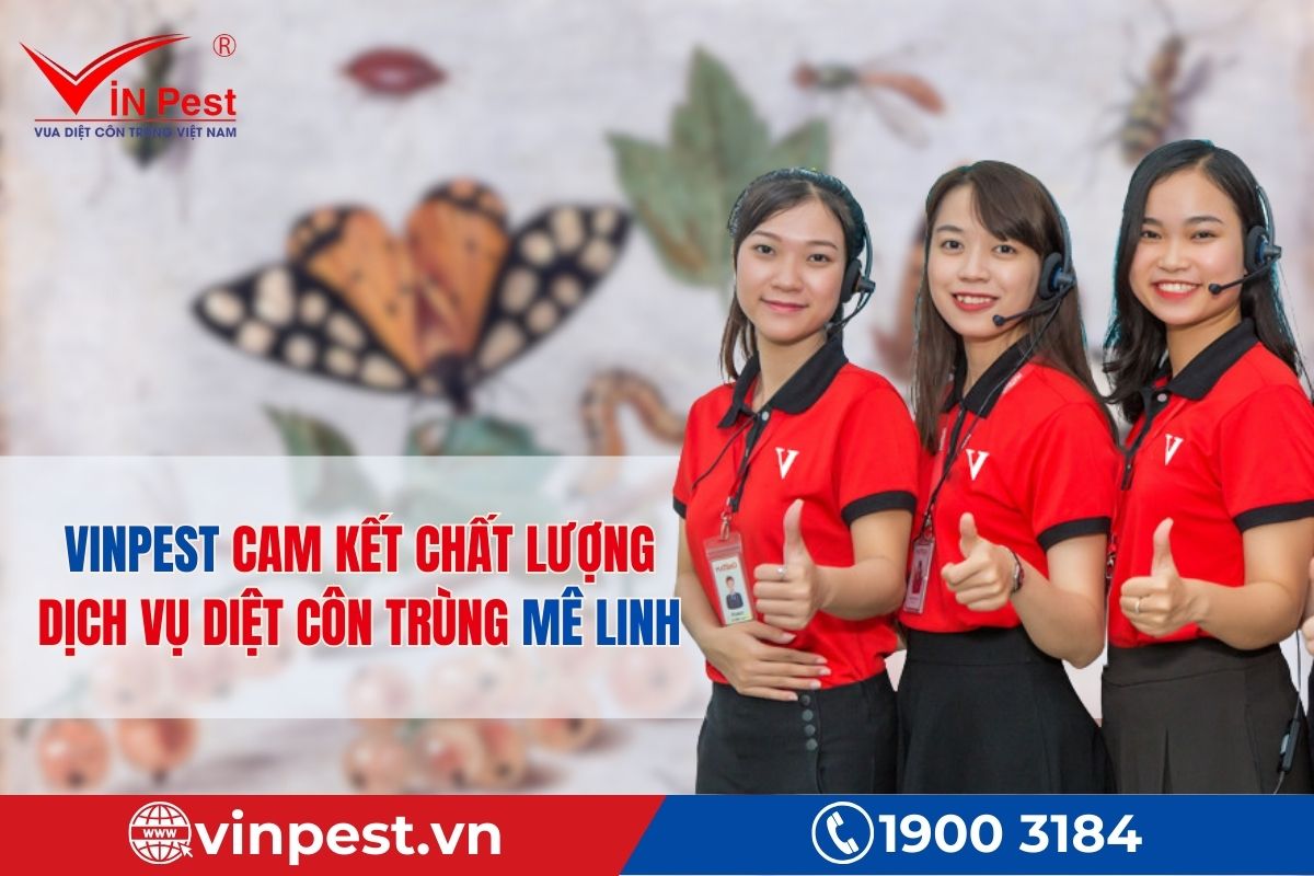 Cam kết dịch vụ diệt côn trùng tại VinPest