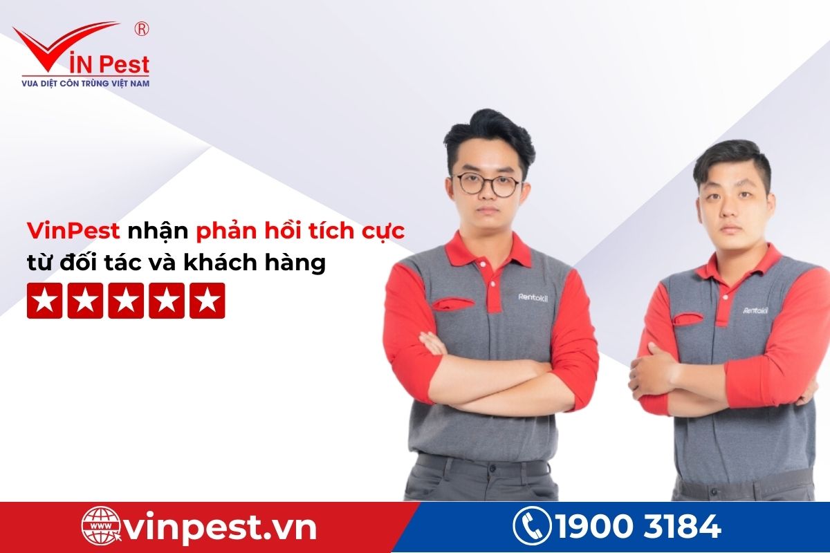 Ưu điểm dịch vụ diệt côn trùng tại Sơn Trà của VinPest