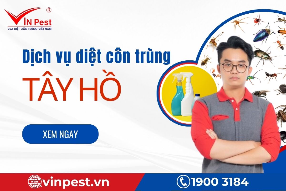 Giới thiệu dịch vụ diệt côn trùng của VinPest tại Tây Hồ
