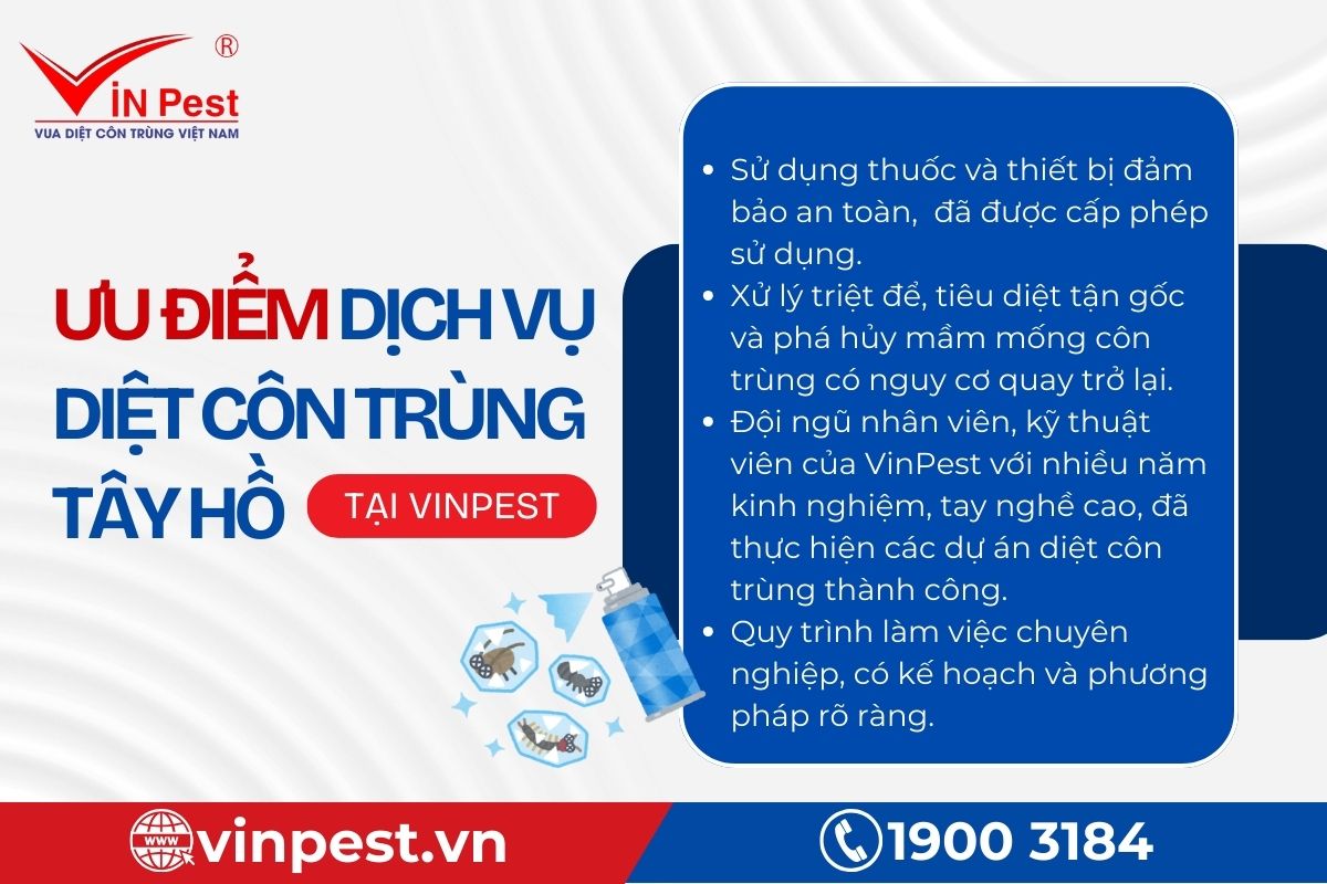 Ưu điểm khi sử dụng dịch vụ diệt côn trùng Tây Hồ tại VinPest
