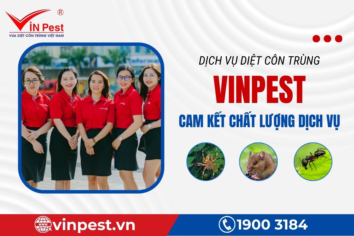 Cam kết chất lượng dịch vụ của Vinpest