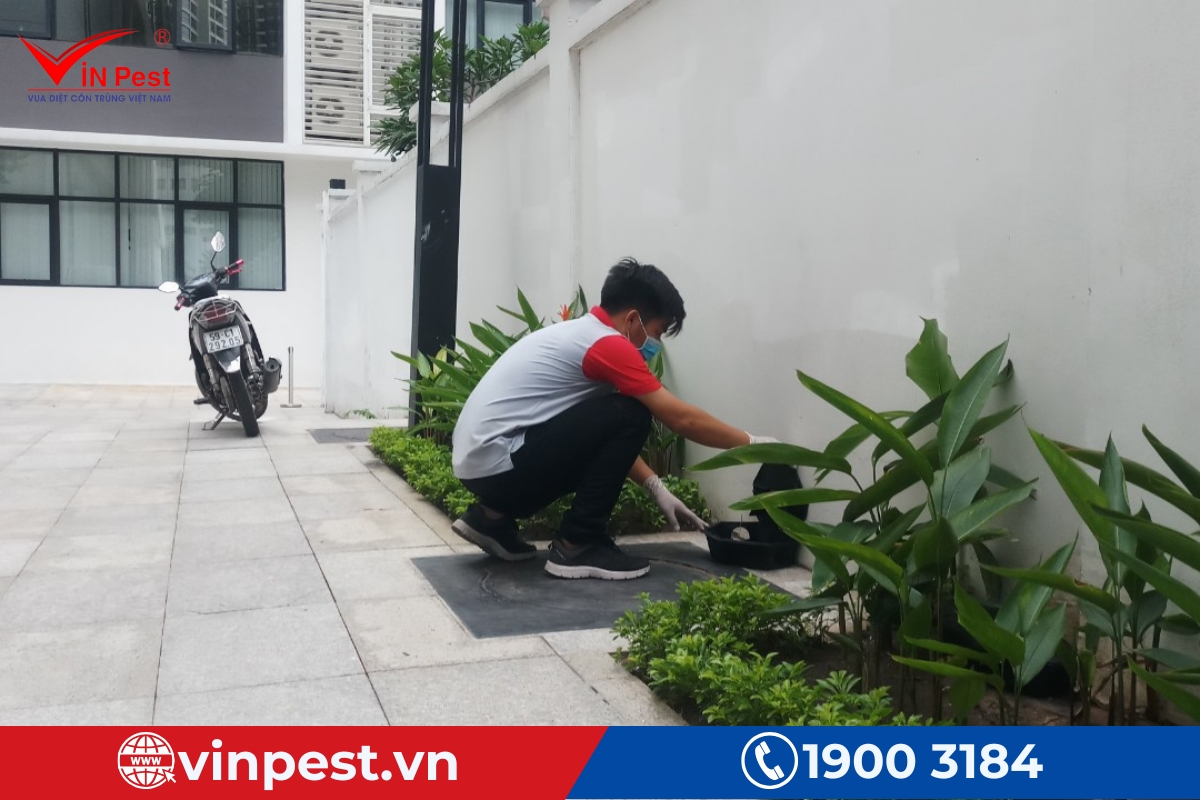 Diệt mối thợ bằng phương pháp vật lý