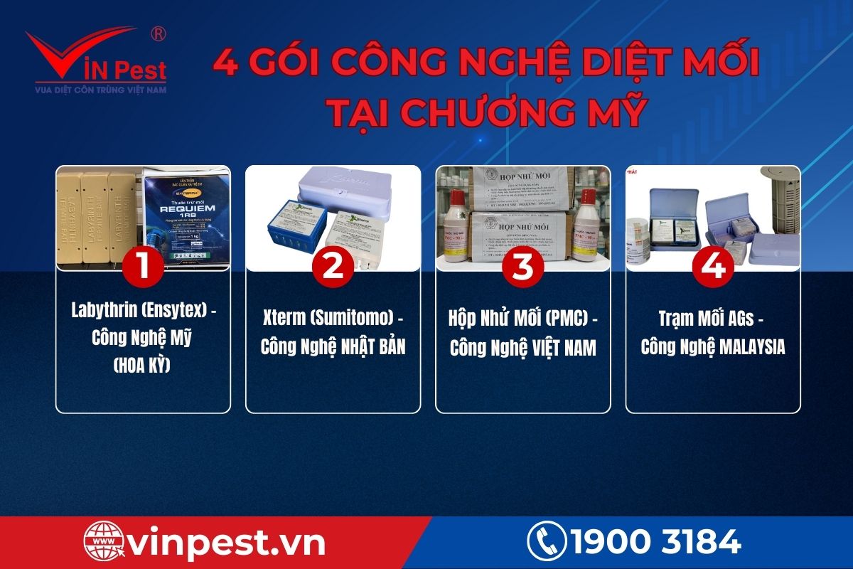 4 gói công nghệ diệt mối tại Chương Mỹ hiệu quả, nhanh chóng