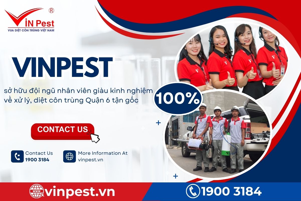 Cam kết dịch vụ diệt côn trùng ở Bình Chánh của VinPest