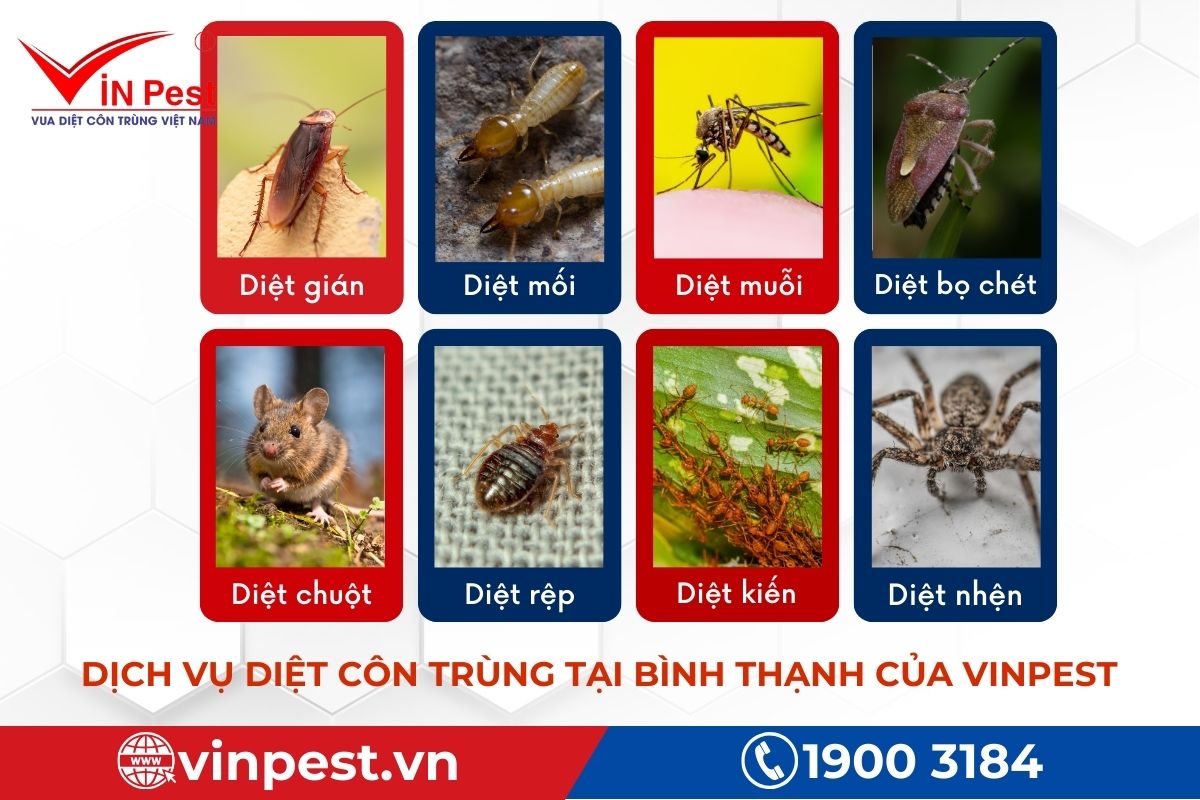 VinPest cung cấp dịch vụ diệt côn trùng tại Bình Thạnh