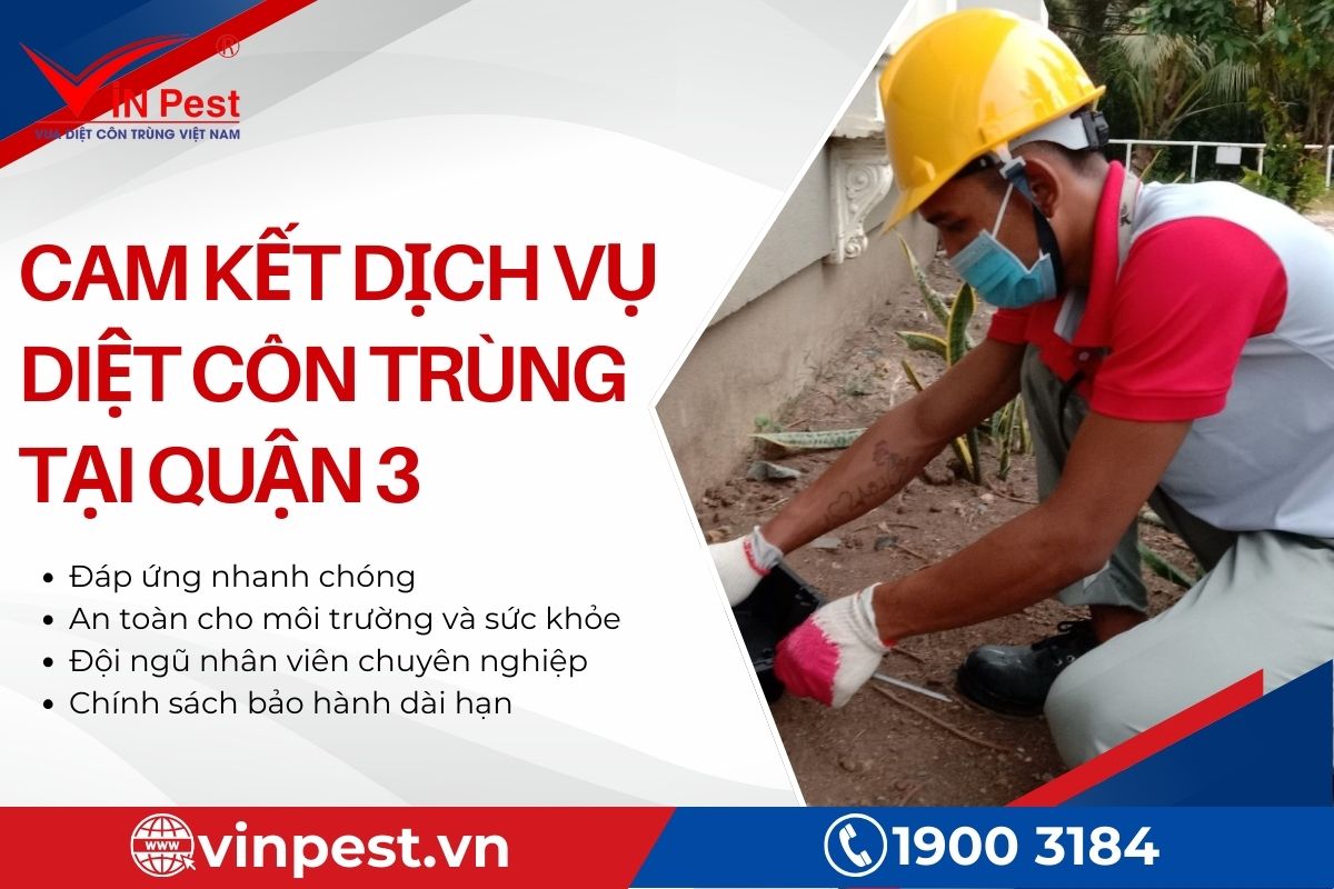 Cam kết dịch vụ diệt côn trùng tại Quận 3 - VinPest