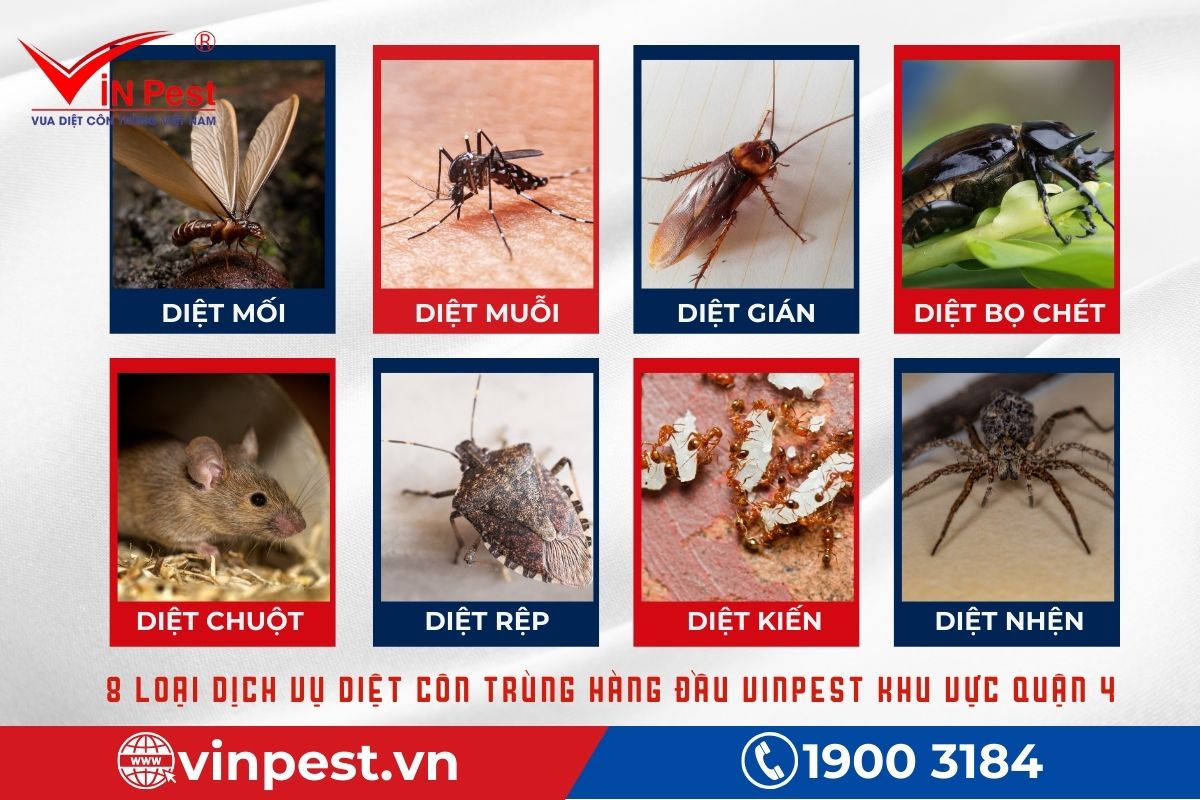 VinPest - Công ty diệt côn trùng Quận 4 cam kết chất lượng