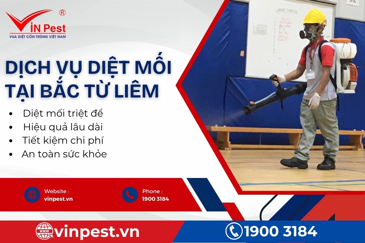 Lợi ích khi lựa chọn dịch vụ diệt mối tại Bắc Từ Liêm của VinPest