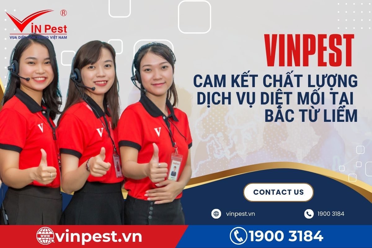 VinPest cam kết chất lượng dịch vụ diệt mối tại Bắc Từ Liêm