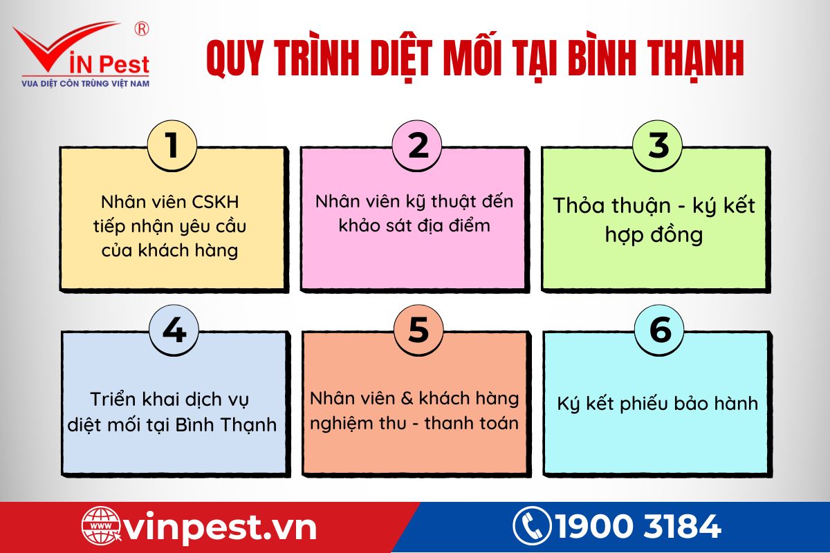Quy trình cung cấp dịch vụ diệt mối Bình Thạnh chuyên nghiệp