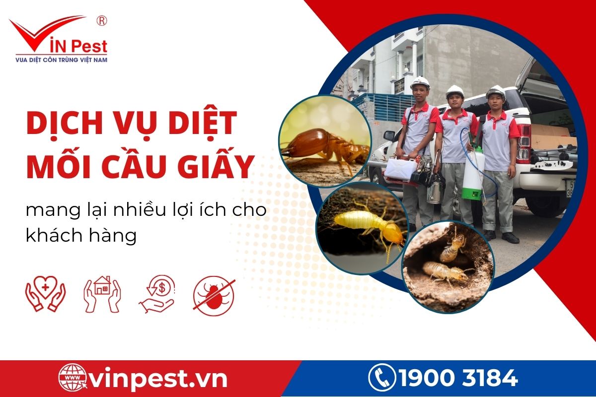 Lợi ích khi sử dụng dịch vụ diệt mối tại Cầu Giấy tại VinPest