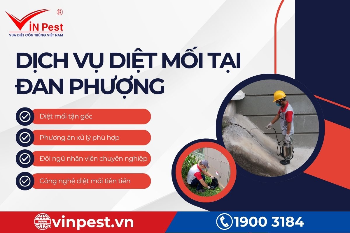 Lợi ích khi sử dụng diệt mối tại Đan Phượng