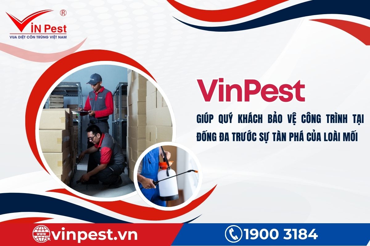 Lợi ích khi sử dụng dịch vụ diệt mối Đống Đa tại VinPest