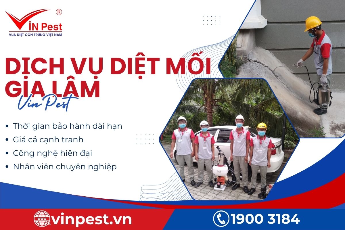Cam kết chất lượng dịch vụ diệt mối Gia Lâm