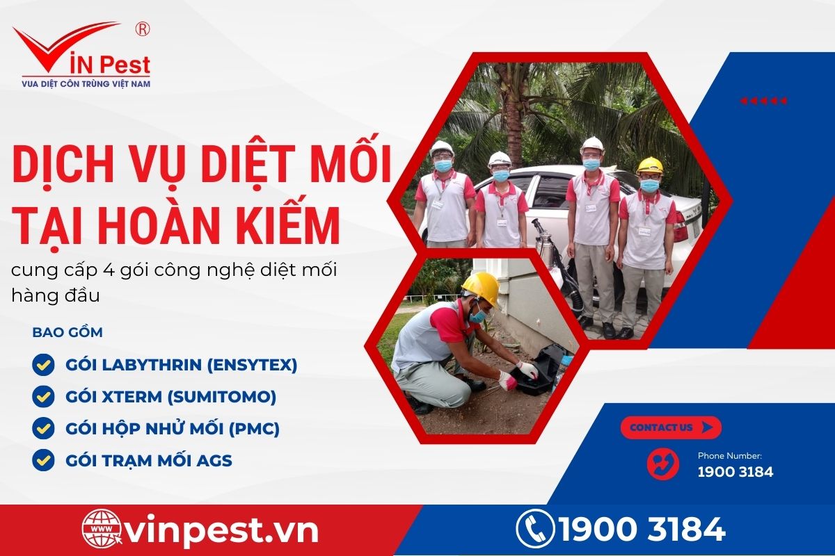Cam kết dịch vụ diệt mối tại Hoàn Kiếm của VinPest