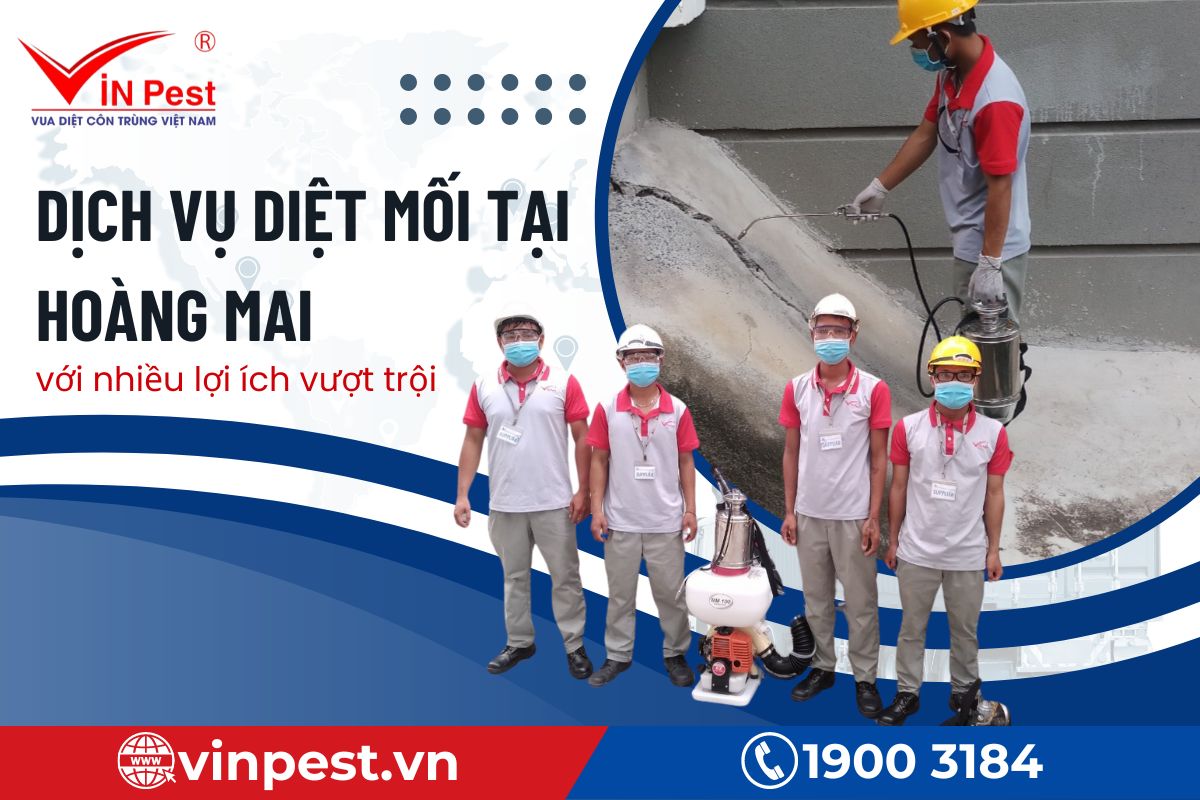 Lợi ích khi sử dụng dịch vụ diệt mối tại Hoàng Mai của VinPest