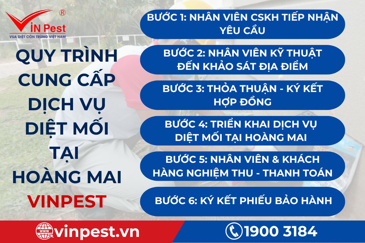 Quy trình cung cấp dịch vụ diệt mối tại Hoàng Mai