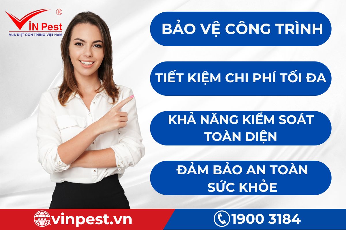 Ưu điểm của dịch vụ diệt mối của VinPest tại Long Biên