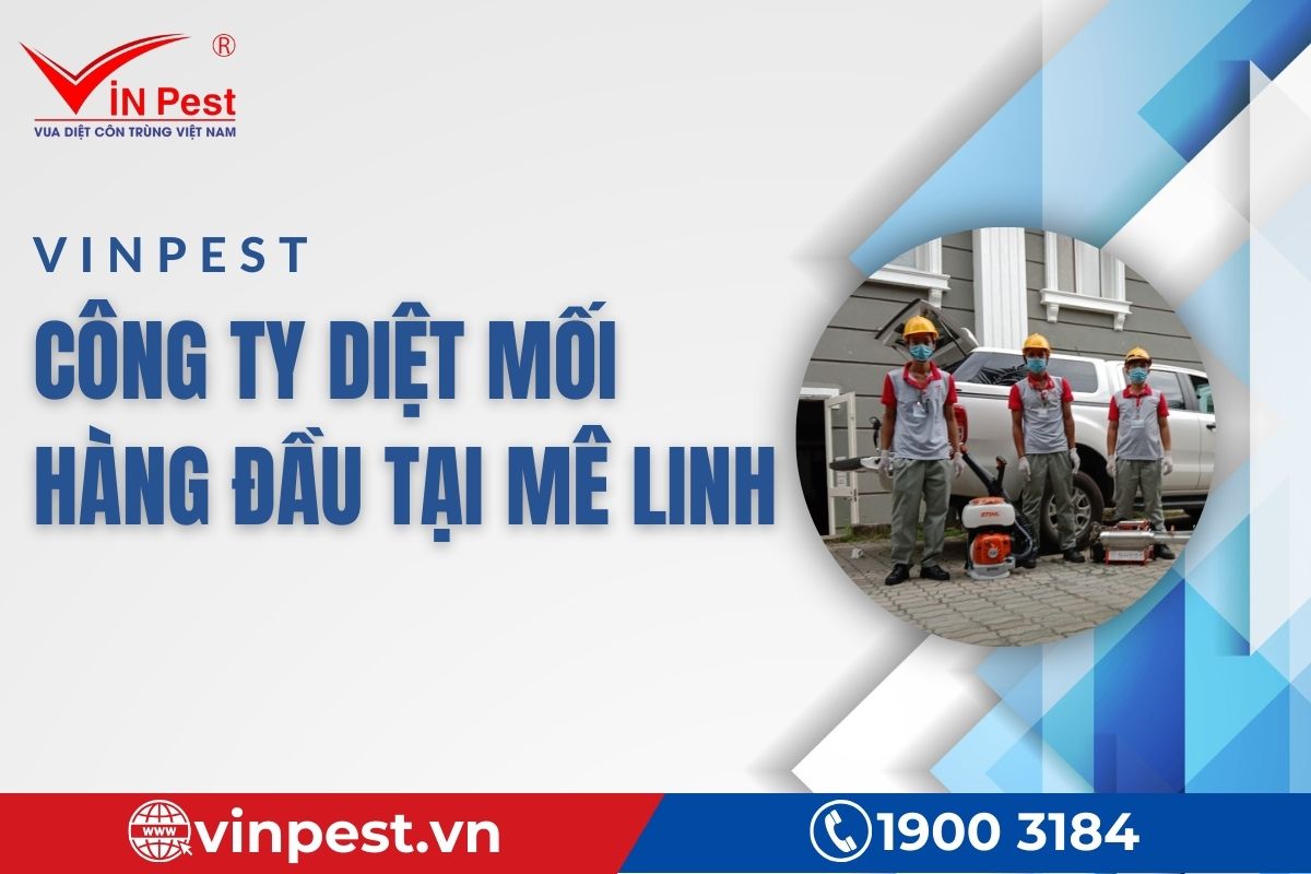 VinPest - Công ty diệt mối an toàn, hiệu quả tại Mê Linh