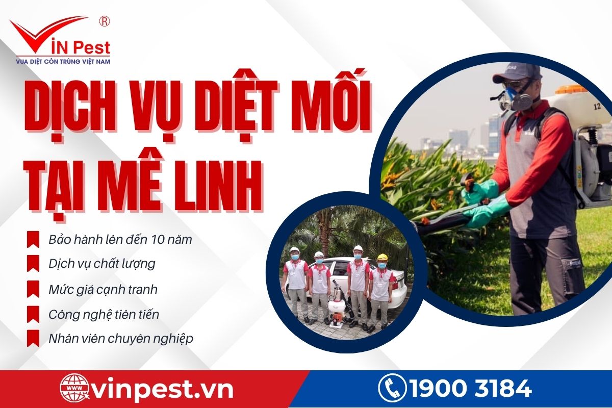 VinPest cam kết dịch vụ diệt mối tại Mê Linh
