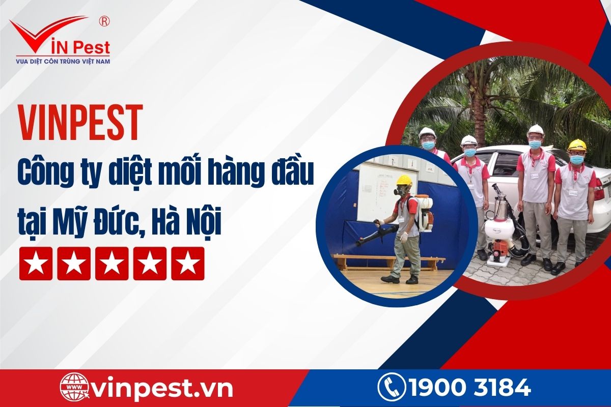 Tại sao nên sử dụng dịch vụ diệt mối Mỹ Đức của VinPest?