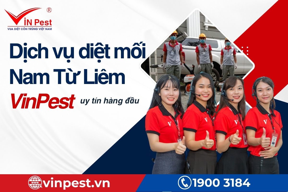 Công ty diệt mối hàng đầu tại Nam Từ Liêm - VinPest