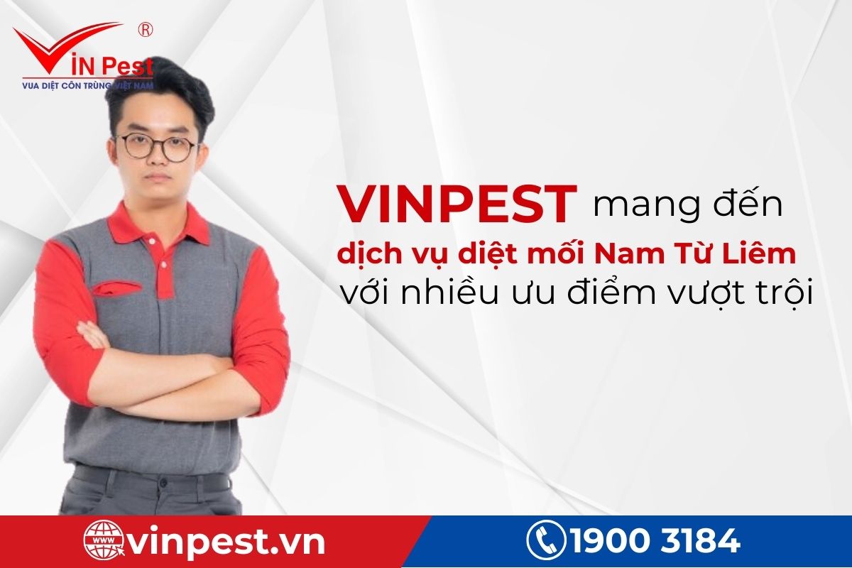 Ưu điểm nổi bật của dịch vụ diệt mối Nam Từ Liêm tại VinPest