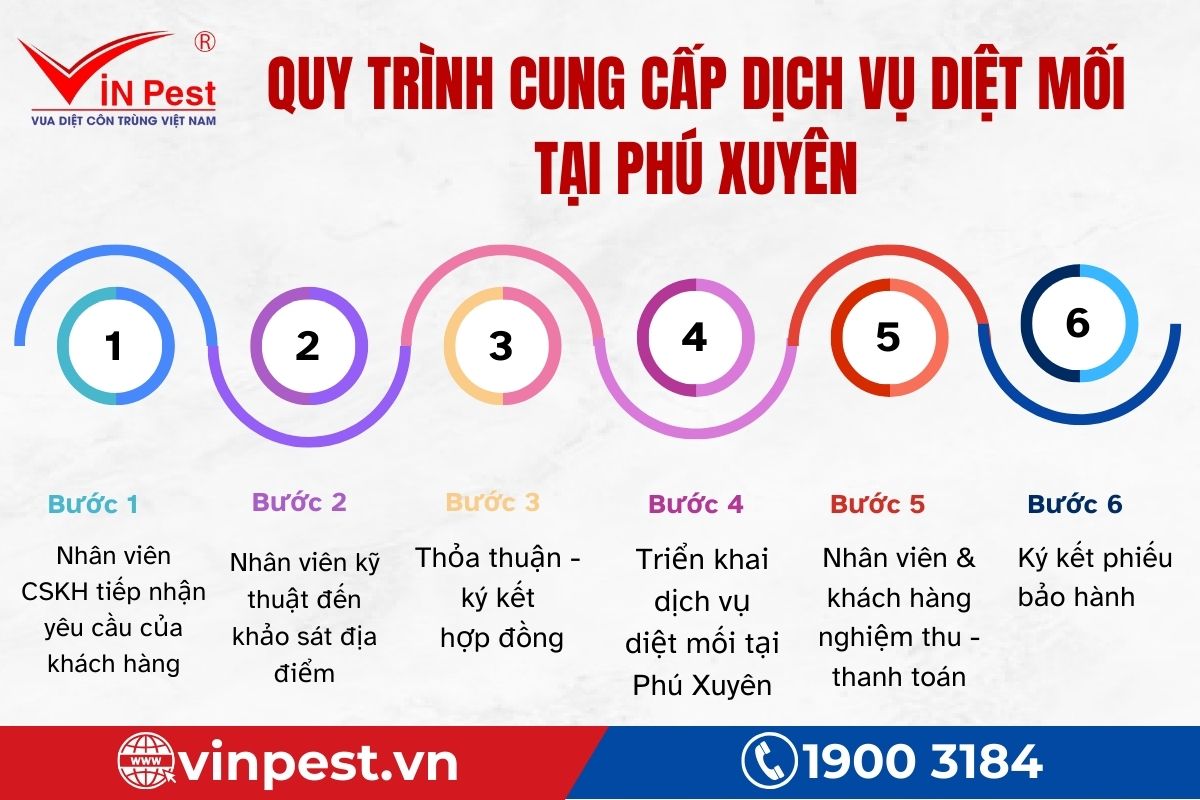 VinPest cung cấp quy trình dịch vụ diệt mối tại Phú Xuyên
