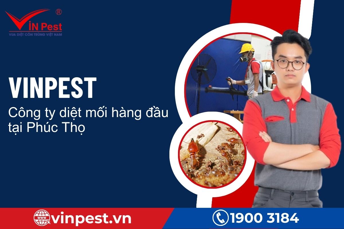 VinPest - Công ty diệt mối hàng đầu tại Phúc Thọ
