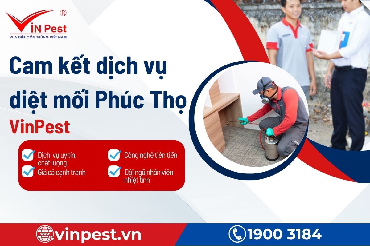 Lợi ích và cam kết dịch vụ diệt mối Phúc Thọ tại VinPest